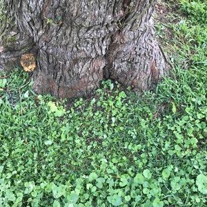 Meet your Posher, Clay